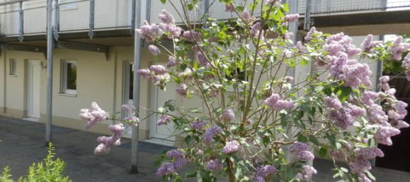 Дуплекс с 1 спальней в Radebeul, Германия № 293292 13