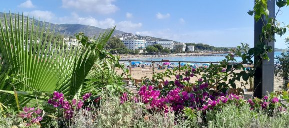 6 bedrooms House in Alcala De Xivert, Spain No. 135251 3