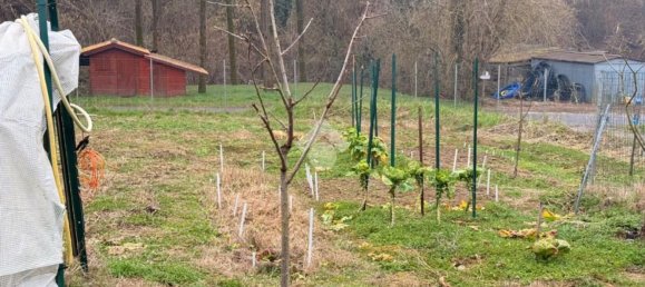 3-Zimmer Villa in Mornico Losana, Italy, Nr. 315015 24