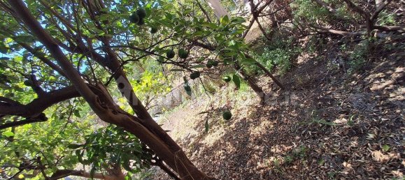 2 bedrooms Apartment in Torre Annunziata, Italy No. 357708 46