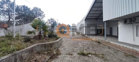 5460m² Warehouse in Muge, Portugal No. 63088 4