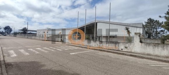 5460m² Warehouse in Muge, Portugal No. 63088 2