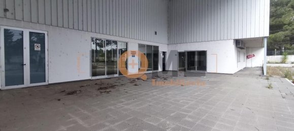 5460m² Warehouse in Muge, Portugal No. 63088 22