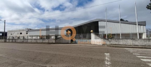 5460m² Warehouse in Muge, Portugal No. 63088 3