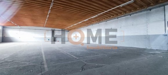 5460m² Warehouse in Muge, Portugal No. 63088 14