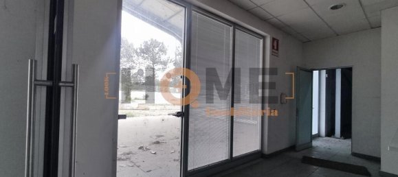 5460m² Warehouse in Muge, Portugal No. 63088 26