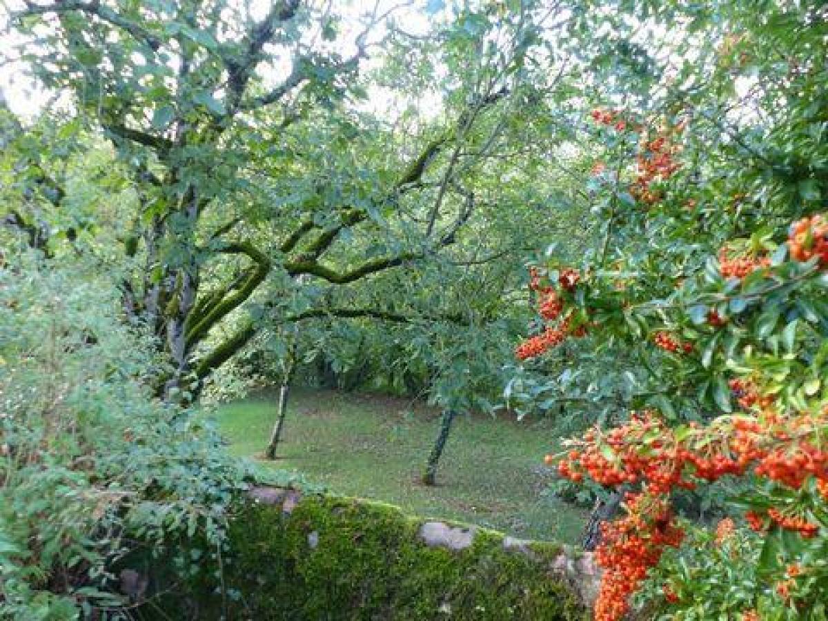 4 Schlafzimmer Haus in Poitiers, France, Nr. 24228