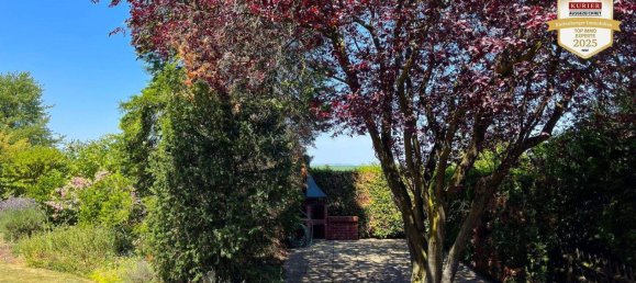 4 rooms Bungalow in Sieghartskirchen, Austria No. 132704 6