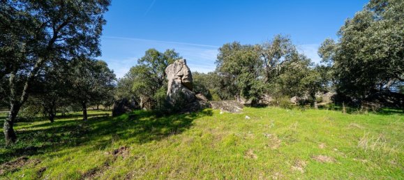 8 Schlafzimmer Haus in Colmenarejo, Spain, Nr. 366639 15