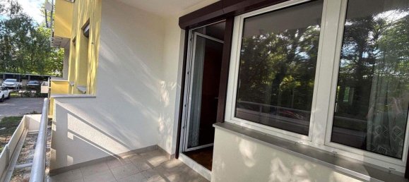 3-salle Appartement à Langenzersdorf, Austria No. 247420 6