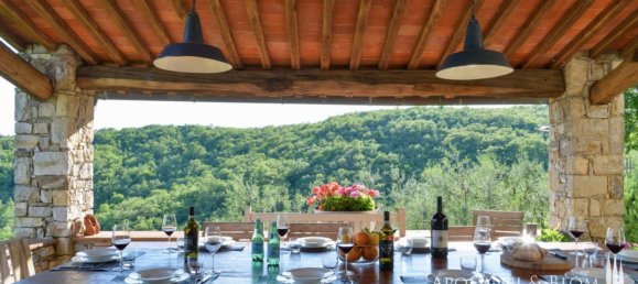 10 chambres Terrain à Radda in Chianti, Italy No. 56409 19