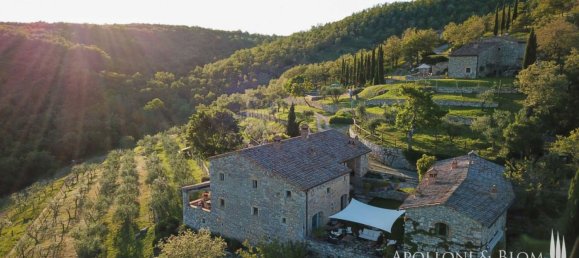 10 chambres Terrain à Radda in Chianti, Italy No. 56409 6