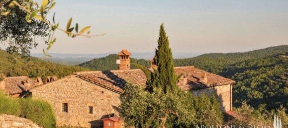10 chambres Terrain à Radda in Chianti, Italy No. 56409 11