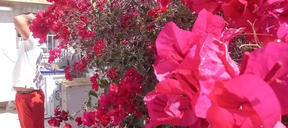 2 bedrooms Townhouse in Torrevieja, Spain No. 190710 8