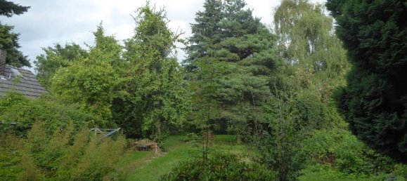 6 bedrooms House in Teltow-Flaming, Germany No. 232252 13