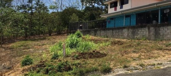 Land for sale in Naranjo, Alajuela, Costa Rica № 1800 4
