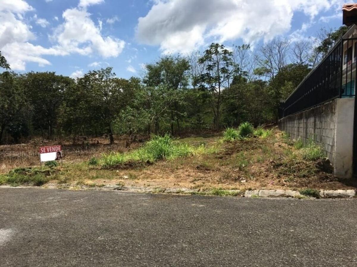 Land for sale in Naranjo, Alajuela, Costa Rica № 1800