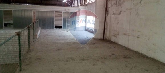 1638m² Warehouse in Casalmaggiore, Italy No. 264999 19