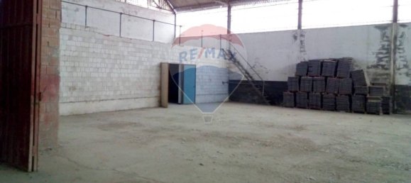 1638m² Warehouse in Casalmaggiore, Italy No. 264999 17