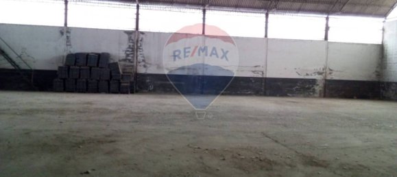 1638m² Warehouse in Casalmaggiore, Italy No. 264999 14