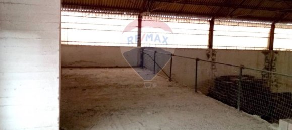 1638m² Warehouse in Casalmaggiore, Italy No. 264999 20