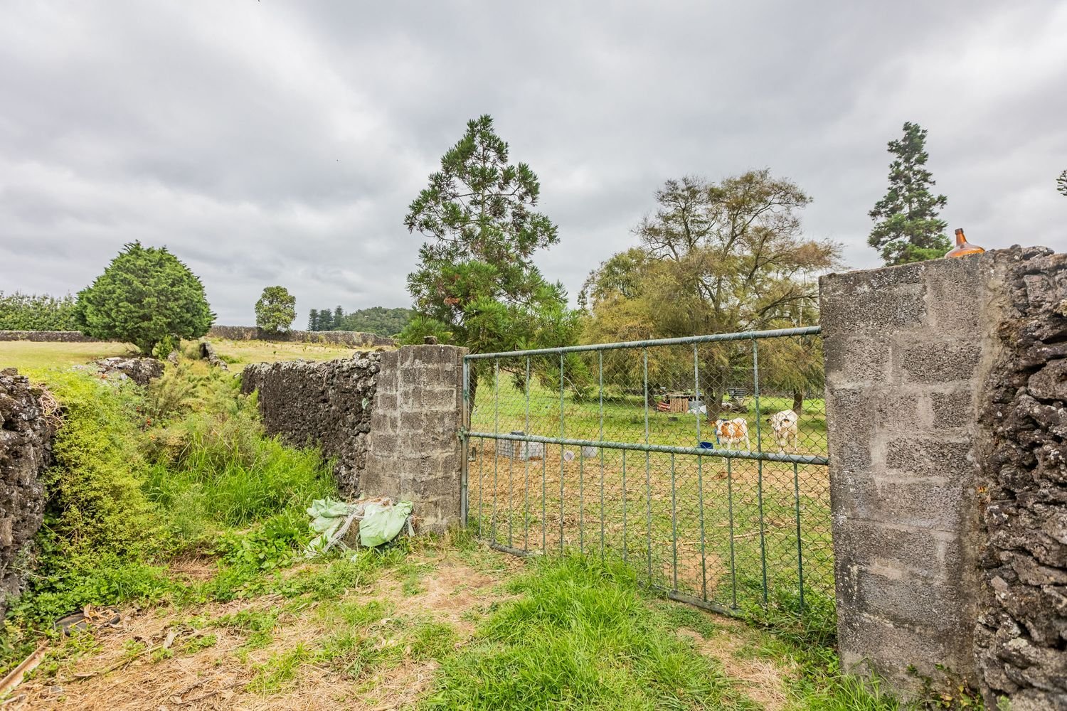 Grundstück in Lagoa, Portugal, Nr. 346327