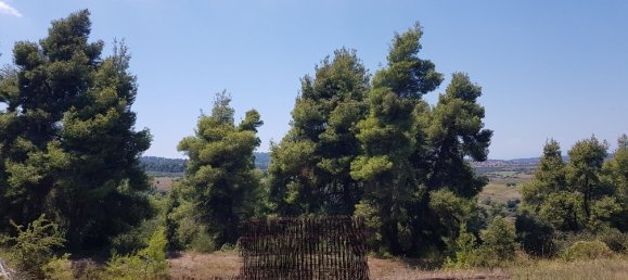 Hotel in Chalkidiki, Greece 11000m², Nr. 4664 6