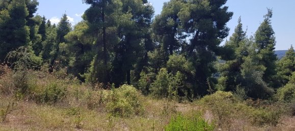 Hotel in Chalkidiki, Greece 11000m², Nr. 4664 7