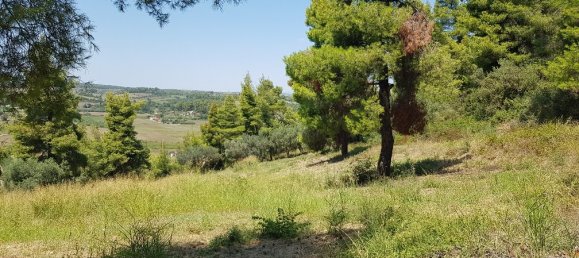  فندق في Chalkidiki, Greece 11000متر مربع رقم 4664 10