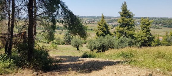  فندق في Chalkidiki, Greece 11000متر مربع رقم 4664 11