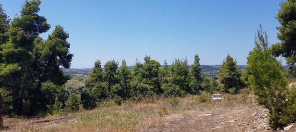 Hotel in Chalkidiki, Greece 11000m², Nr. 4664 5