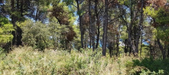  فندق في Chalkidiki, Greece 11000متر مربع رقم 4664 2