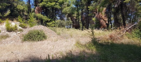 Hotel in Chalkidiki, Greece 11000m², Nr. 4664 3