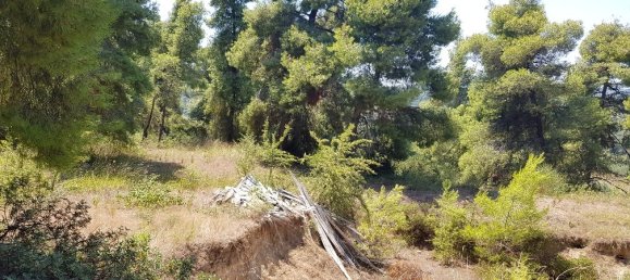  فندق في Chalkidiki, Greece 11000متر مربع رقم 4664 4
