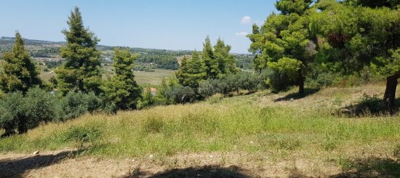 Hotel in Chalkidiki, Greece 11000m², Nr. 4664 12