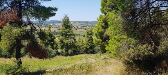 Hotel in Chalkidiki, Greece 11000m², Nr. 4664 8