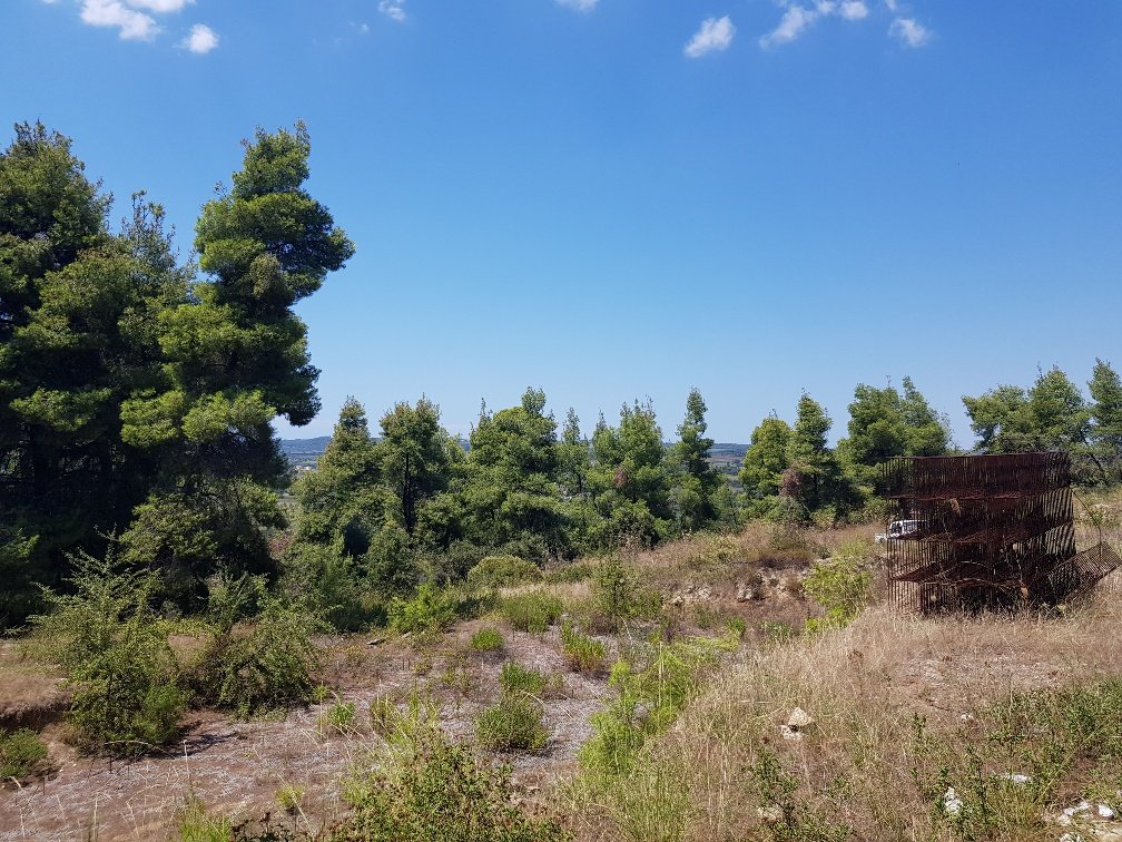  فندق في Chalkidiki, Greece 11000متر مربع رقم 4664