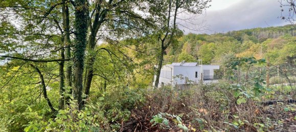 Земельный участок в Майн-Кинциг, Германия № 284421 3