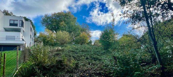 Земельный участок в Майн-Кинциг, Германия № 284421 2