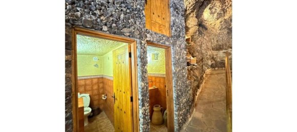 Propriété commerciale à Fasnia, Spain 150m² No. 150894 43