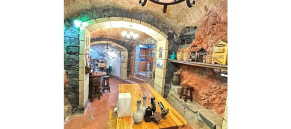 Propriété commerciale à Fasnia, Spain 150m² No. 150894 6