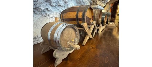 Propriété commerciale à Fasnia, Spain 150m² No. 150894 12