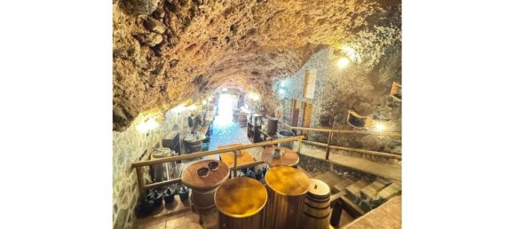 Propriété commerciale à Fasnia, Spain 150m² No. 150894 38