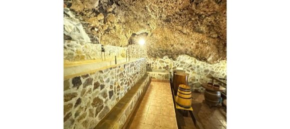 Propriété commerciale à Fasnia, Spain 150m² No. 150894 32