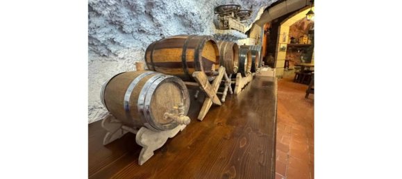 Propriété commerciale à Fasnia, Spain 150m² No. 150894 16