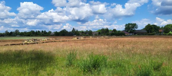 Grundstück in Dahme-Spreewald, Germany, Nr. 267837 5