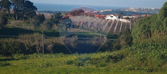 Grundstück in Cela, Portugal 2825m², Nr. 71338 2