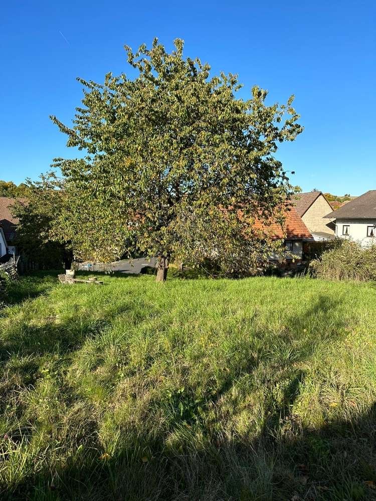 Grundstück in Waldeck-Frankenberg, Germany, Nr. 127571