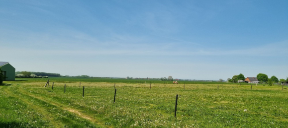 3 rooms Townhouse in Vorpommern-Greifswald, Germany No. 233904 7