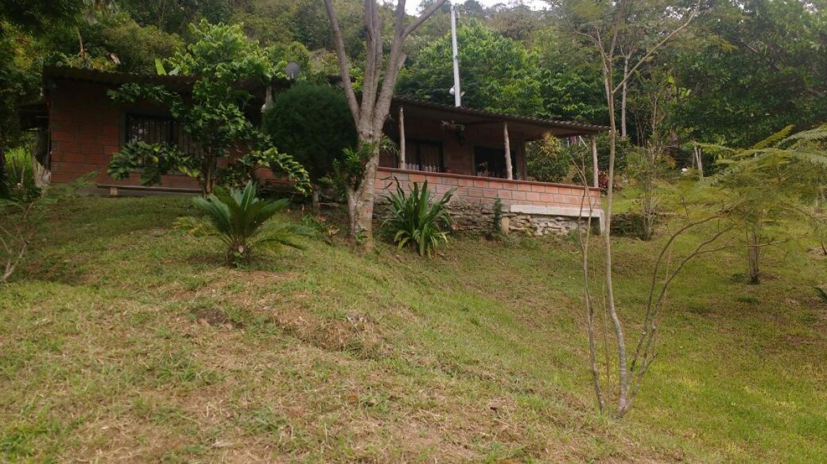  Land in Antioquia, Colombia No. 863
